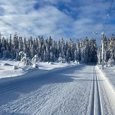 別荘 Cosy With As Add On Service