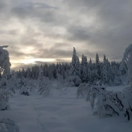 Cosy With As Add On Service