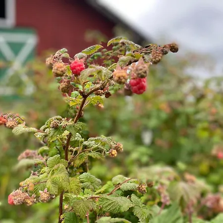 Cosy With As Add On Service בית נופש *