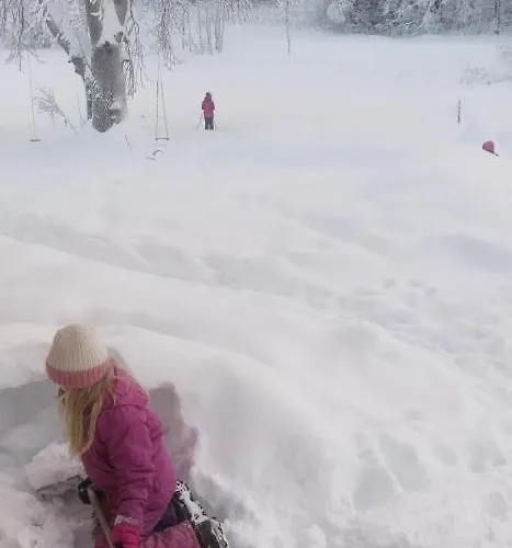 Cosy With As Add On Service * Gjøvik