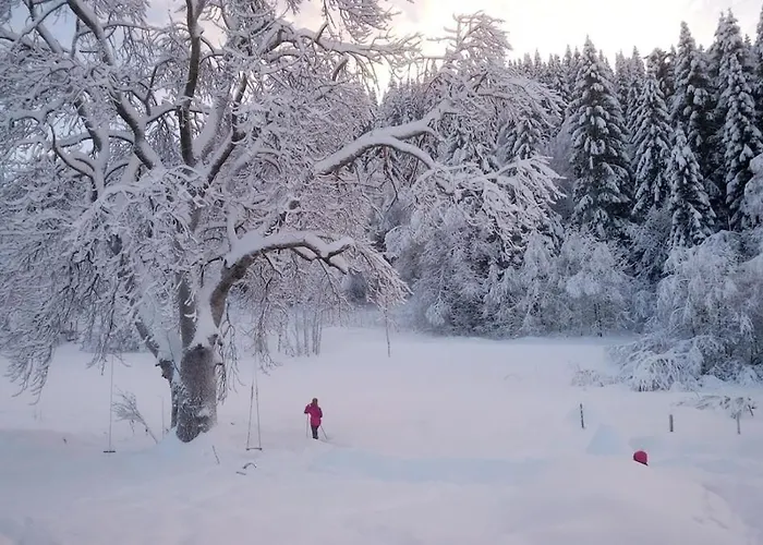 Cosy With As Add On Service * Gjøvik