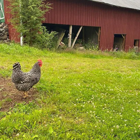 Nyaraló Cosy With As Add On Service Gjøvik