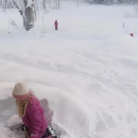 Cosy With As Add On Service * Gjøvik