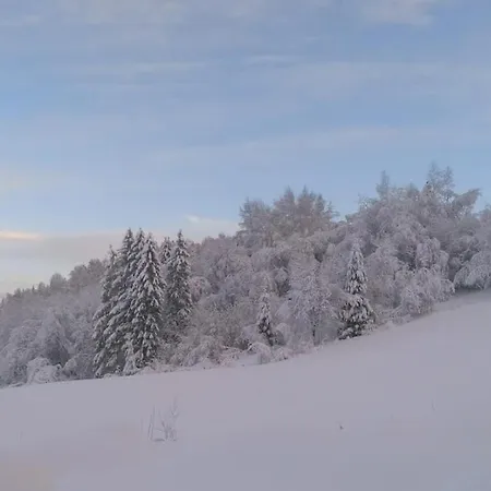 Nyaraló Cosy With As Add On Service *